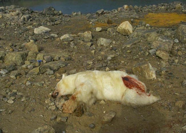 �����! ��������� ������ �������!