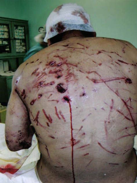 �����! ��������� ������ �������!