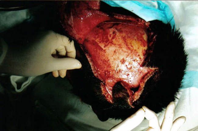 �����! ��������� ������ �������!