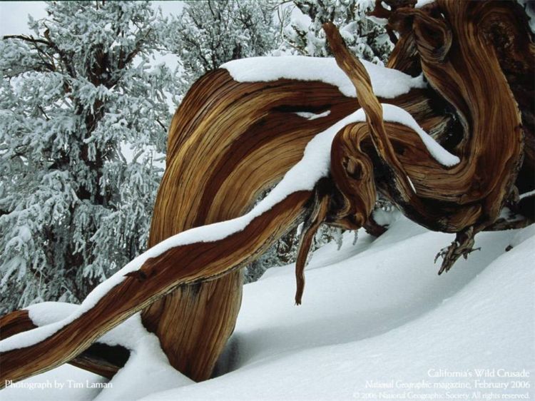 15 ������ ���������� �� national geographic