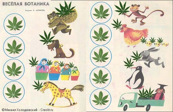 ����� ��������