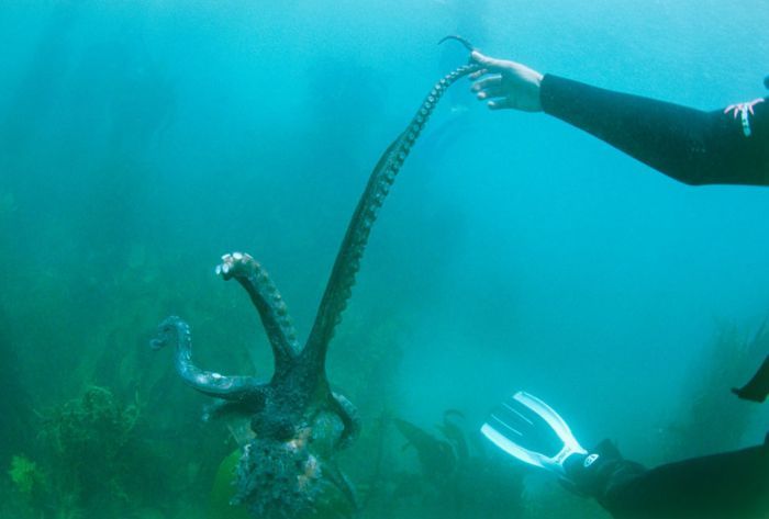 ���� �� national geographic