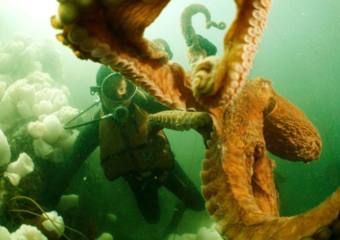 ���� �� national geographic