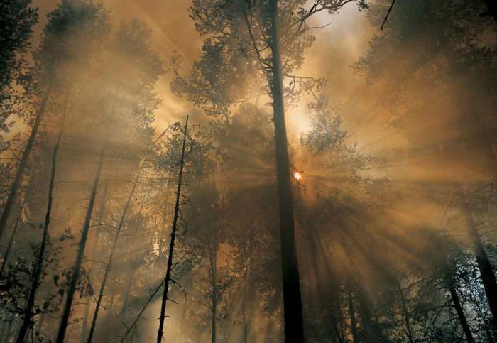 ���� �� national geographic