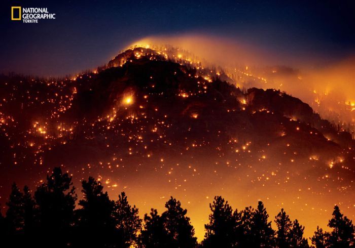 ���� �� national geographic