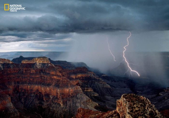 ���� �� national geographic