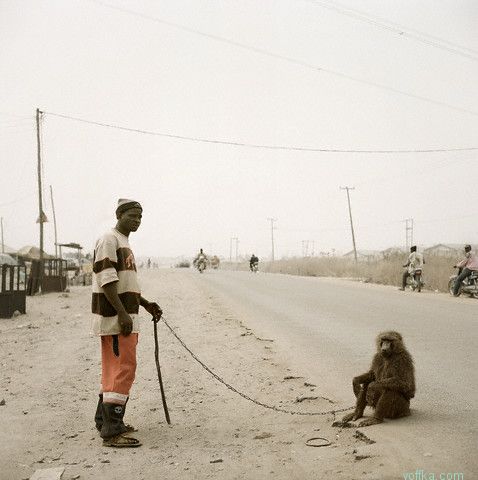 Pieter Hugo - Hyana Men, Nigeria
