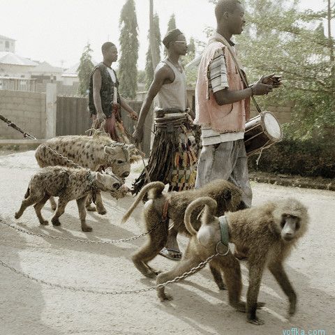 Pieter Hugo - Hyana Men, Nigeria