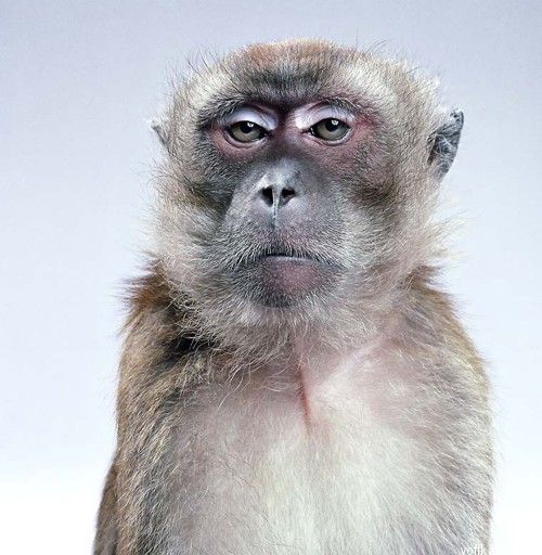 ��������. ��������