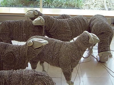 ���������� ����