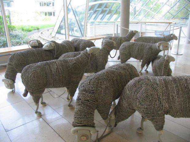 ���������� ����