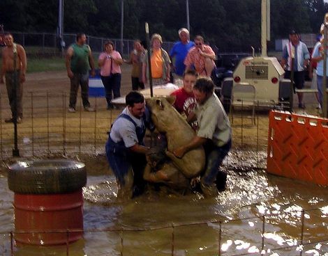 ������ -  �������� ������ � �����