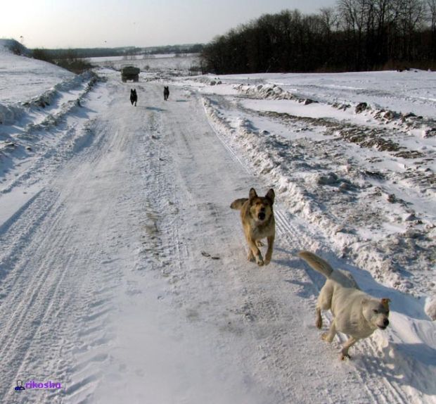 ������� �����