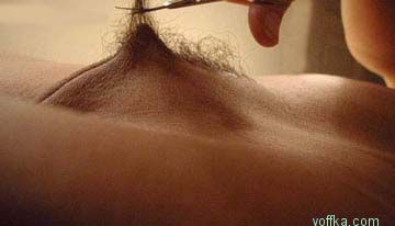 ������ ������� ���� ������