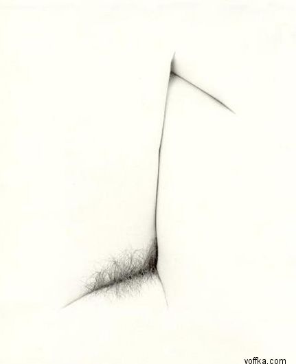 ��������, ����������� �����������