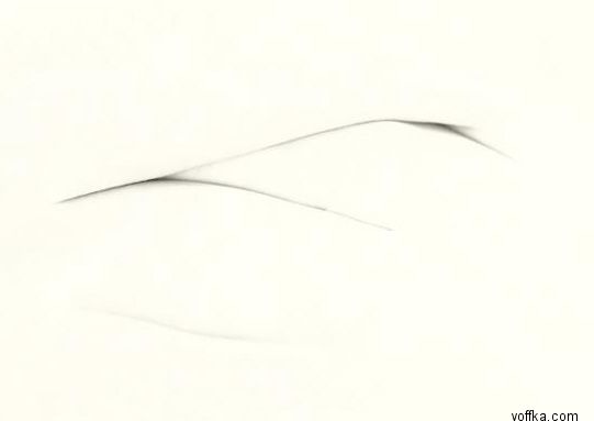 ��������, ����������� �����������