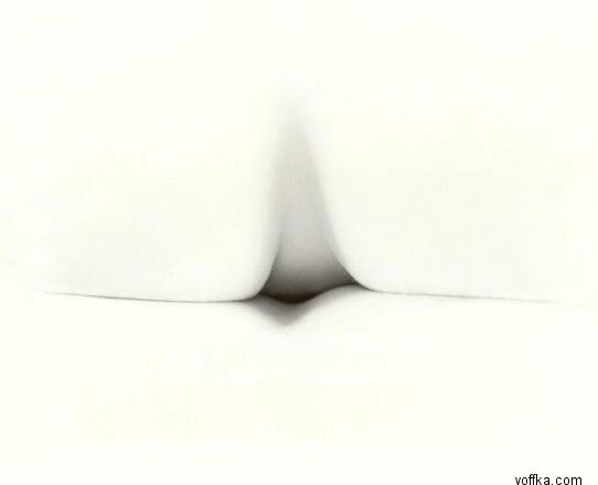 ��������, ����������� �����������