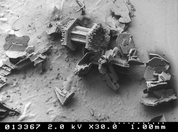 ���� ��� �����������