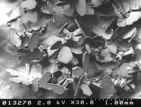 ���� ��� �����������