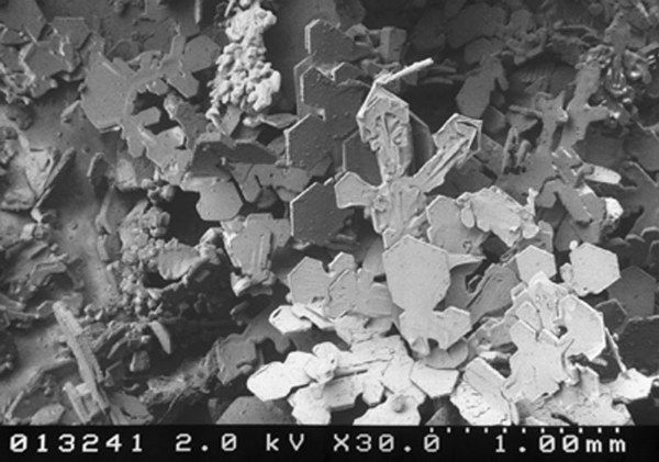 ���� ��� �����������