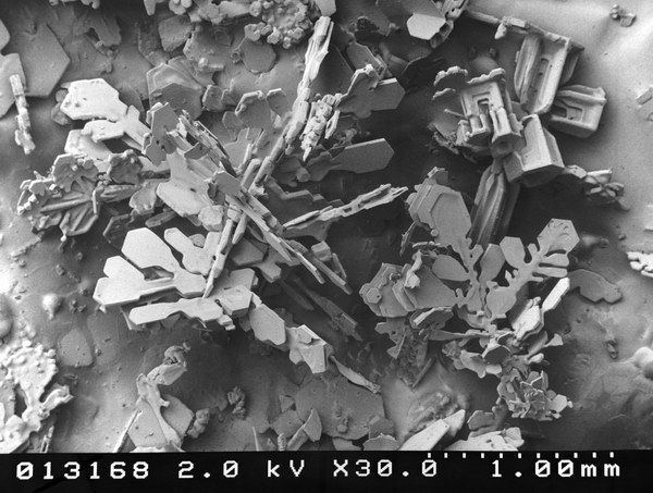 ���� ��� �����������