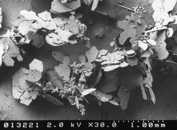 ���� ��� �����������