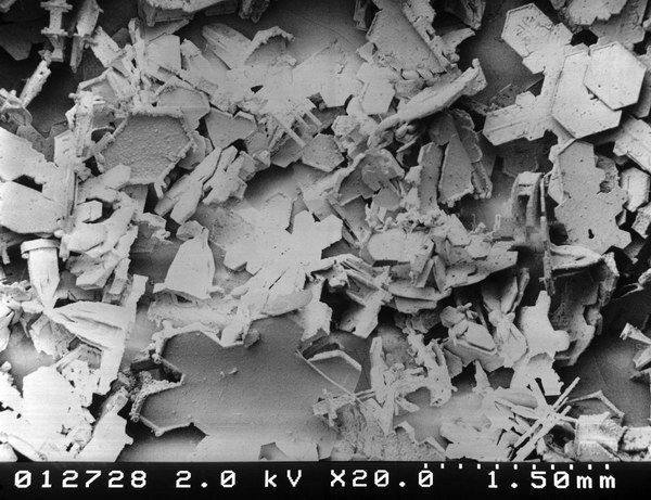 ���� ��� �����������