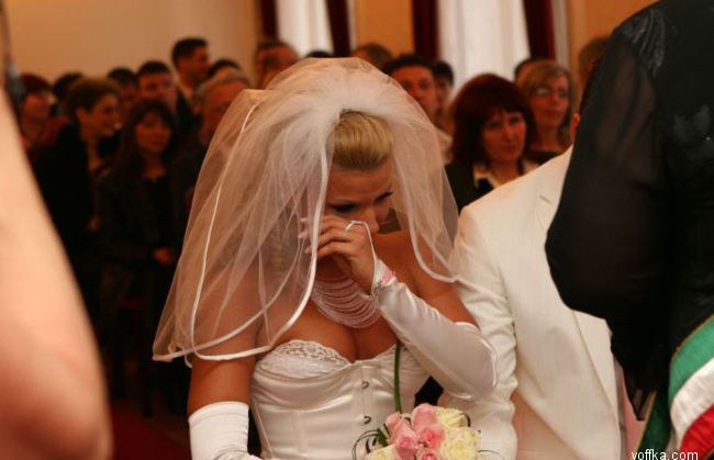 ������� ���������� 