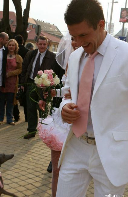 ������� ���������� 