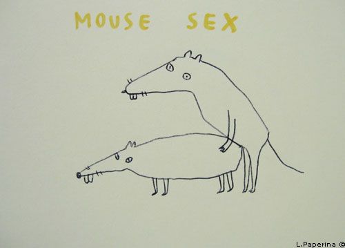 �������� �����