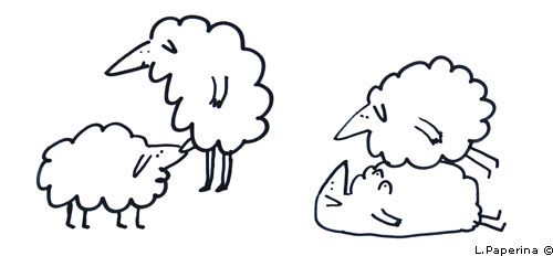 �������� �����