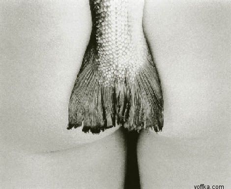 Четверг - рыбный день