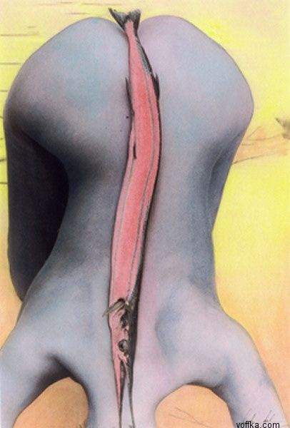 ������� - ������ ����