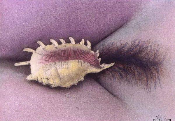 ������� - ������ ����