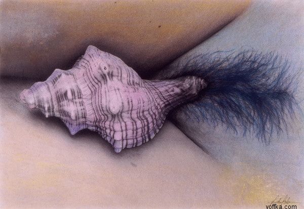 ������� - ������ ����