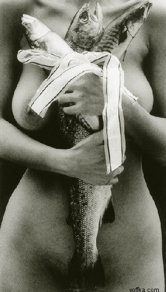 ������� - ������ ����