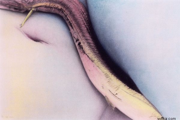 ������� - ������ ����