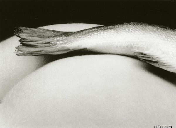 ������� - ������ ����