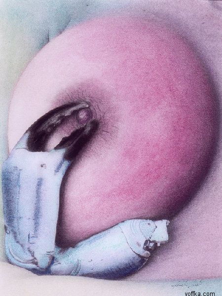 ������� - ������ ����