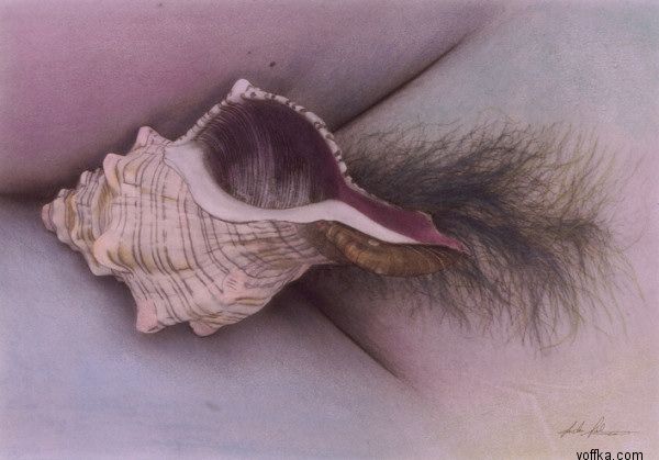 ������� - ������ ����