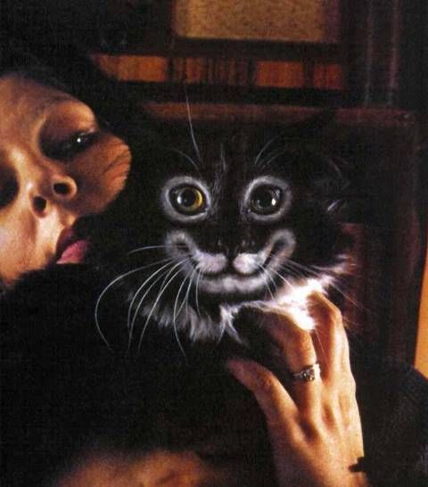 ���������� ����� 