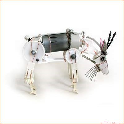 ������-����� ��� ����