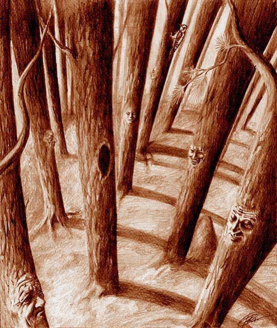 ����������