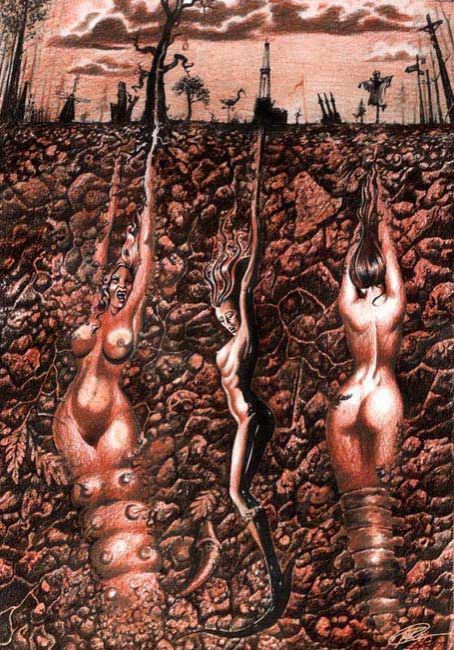 ����������