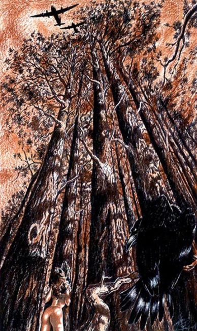 ����������