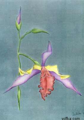 Художественное раскрытие темы пелотки :)