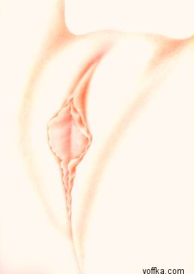 Художественное раскрытие темы пелотки :)