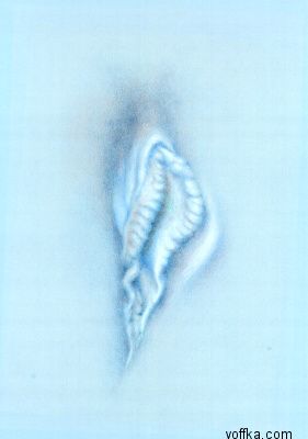 Художественное раскрытие темы пелотки :)