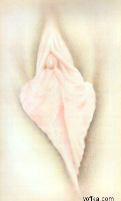 Художественное раскрытие темы пелотки :)