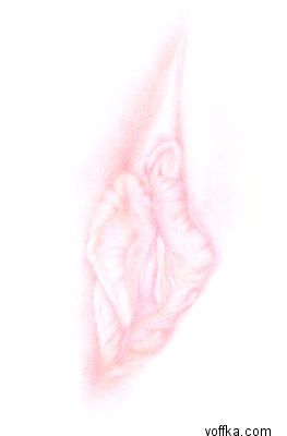 Художественное раскрытие темы пелотки :)